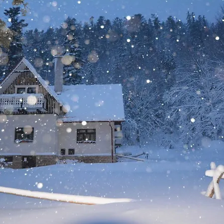 Отель Javorinka 3*